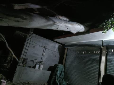Tree fell on two shops, traffic affected