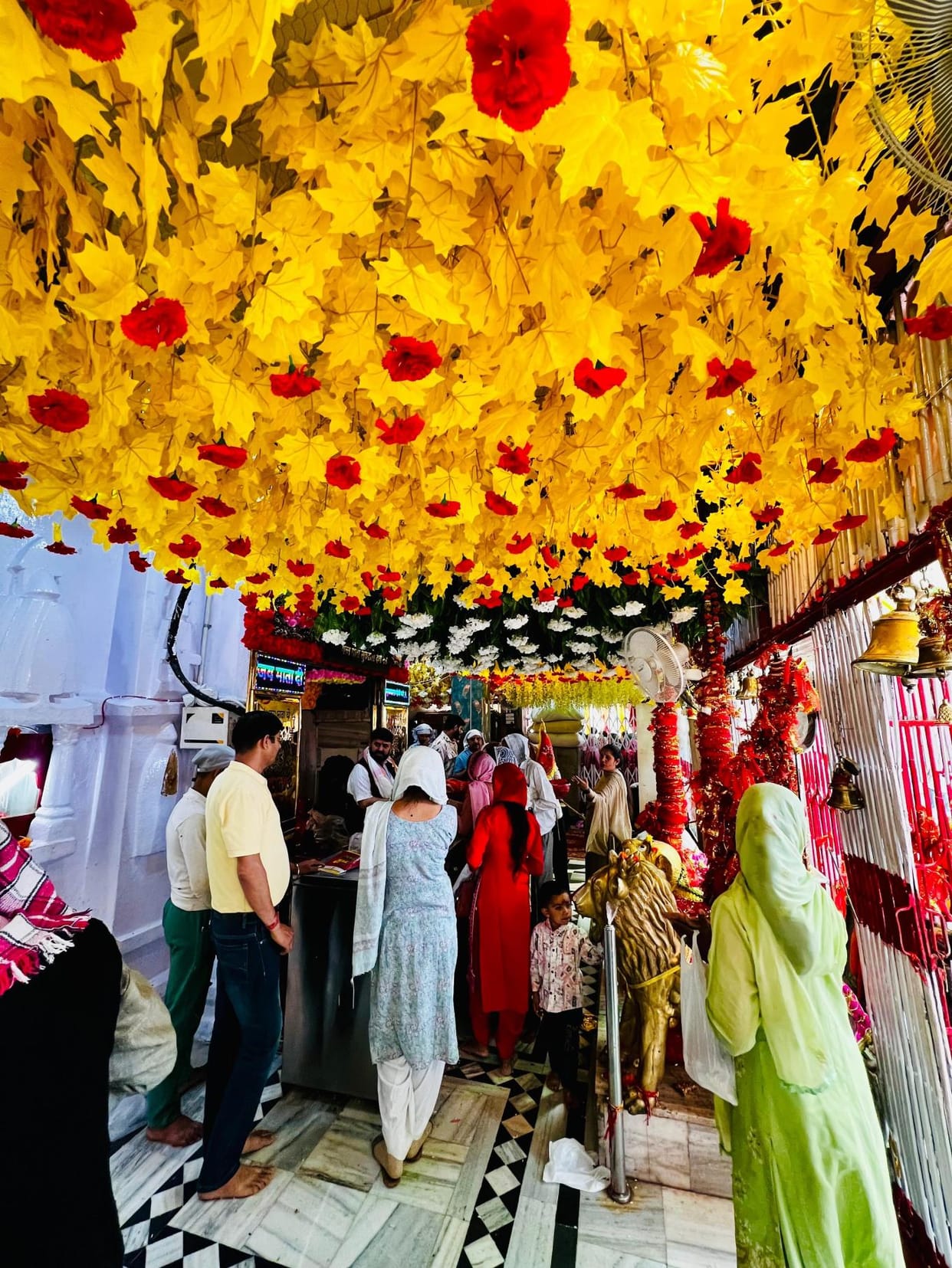 Queues of devotees at Sukarala Mata Temple