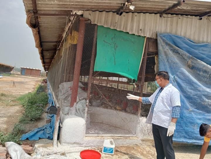 Alert regarding bird flu, monitoring of poultry farms begins
