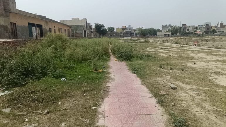 The park is suffering from indifference