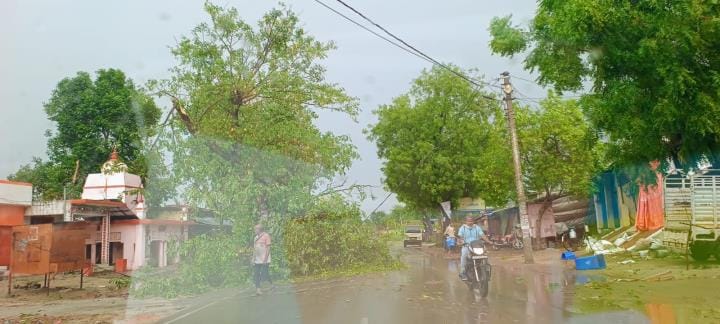 Heavy rain accompanied by strong winds fell a tree on the road in Banda