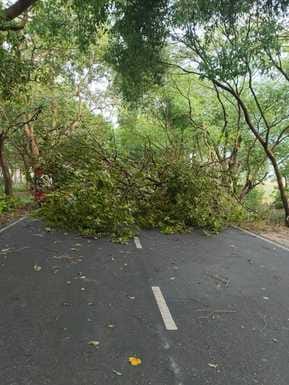 Hailstorm along with rain and storm in Puranpur, strong sunlight caused trouble in Pilibhit