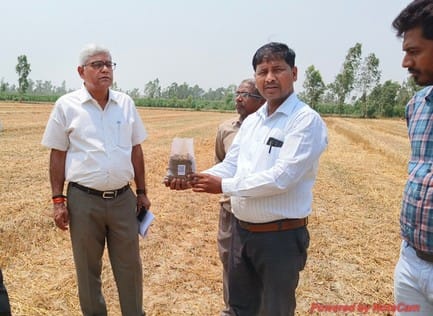 The soil of the fields is sick, lacking nutrients
