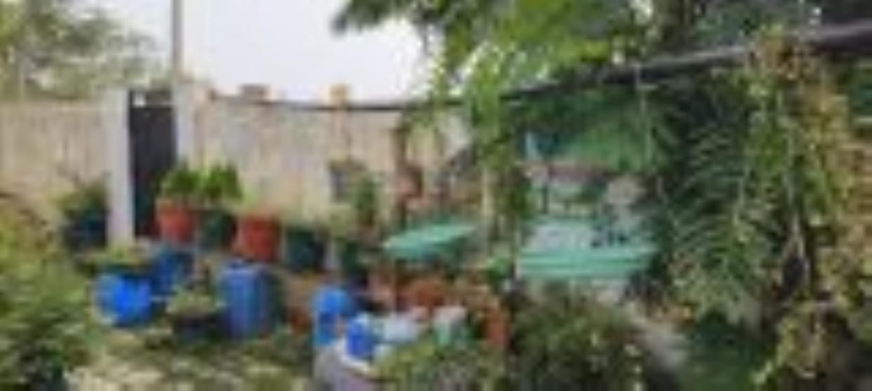 Water kept for animals and birds in the heat of the month of Jyeshtha
