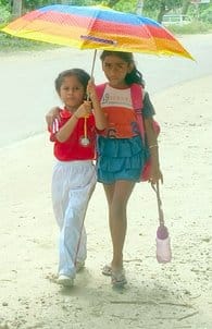 Heatwaves affect normal life, minimum temperature rises by one degree Celsius