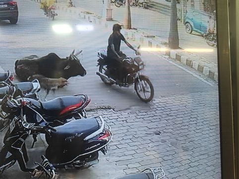 The thief caught on camera is still at large, 15 thefts in seven days