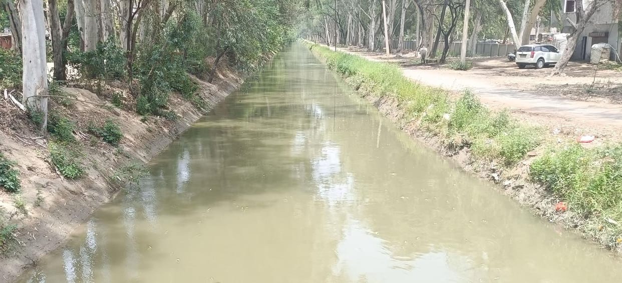 Water arrived in Jui canal, drinking water supply will start from tomorrow