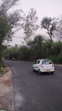 Bamboos hanging on the side of the highway are inviting accidents