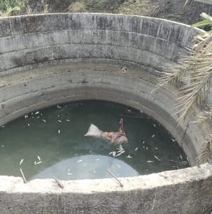 इस तरह कुएं मि मिला शव