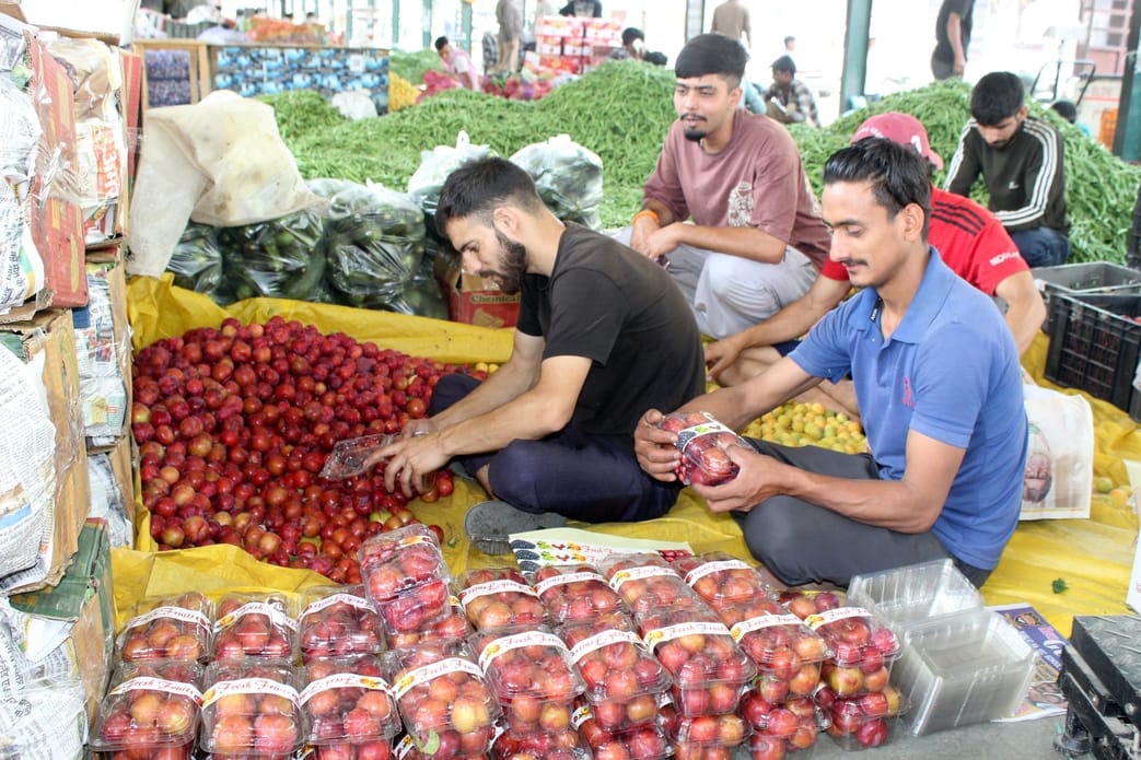 Red Beauty Plum sold instantly, got price of Rs. 170 per kg
