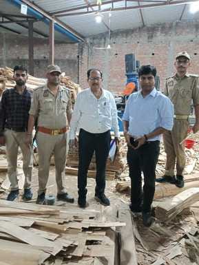Purchase of wood was shown from fake firms... Fine of Rs 65 lakh imposed