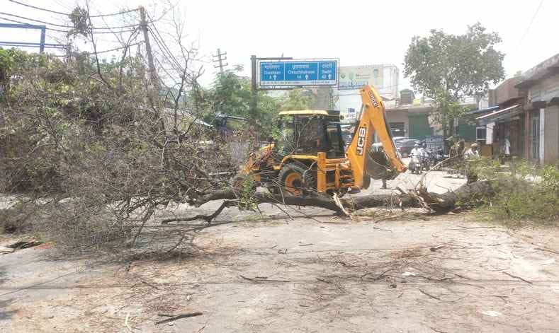 The forest department removed the downed tree using a crane.