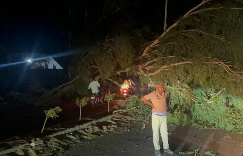 Tin shed flew into the street due to the storm, 26 pillars and 38 trees fell