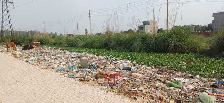 Councillors will visit Indore to keep the city clean