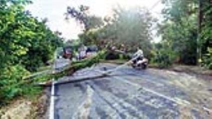 Fallen poles, broken wires, storm and rain exposed the poor system