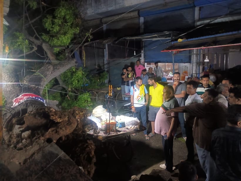 More than 100 trees, more than 70 pillars fell in the storm