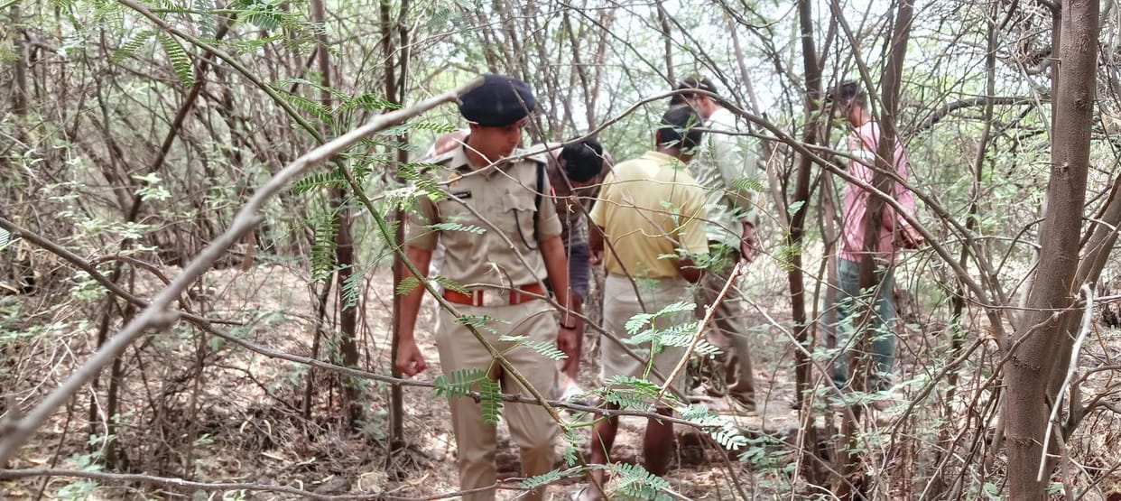Remains of cattle found in bushes near the cemetery