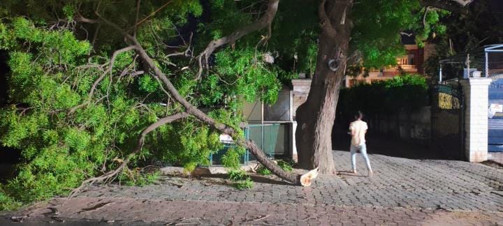 Storm wreaked havoc, power supply disrupted, trees also fell down