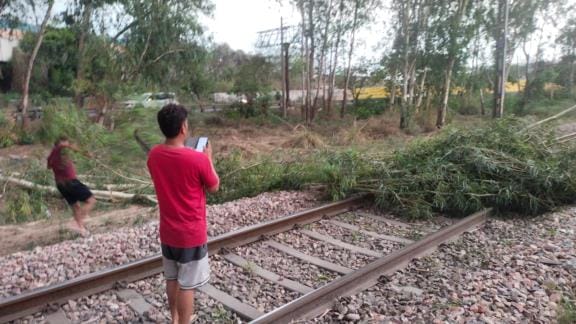 A tree fell on the track between Dhulkot and Ambala, five trains were stopped