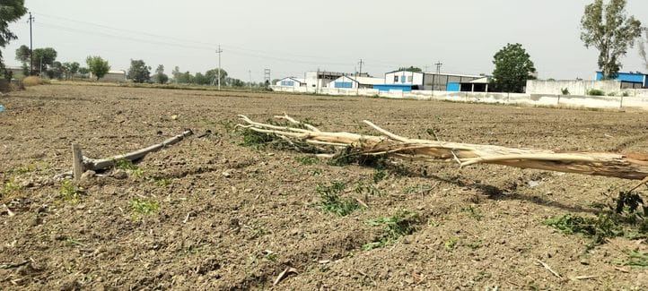 772 poles and 57 transformers fell due to the storm, people spent the night without electricity in the scorching heat
