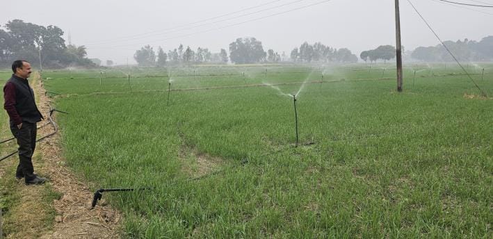 Water will be saved in irrigation through sprinkler method