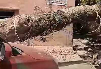 103 electricity poles fell due to storm, power supply disrupted
