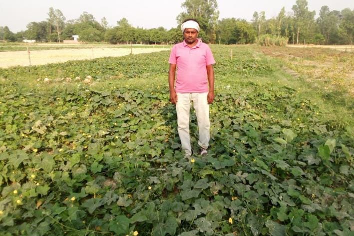 Omprakash found the path of progress through vegetable farming
