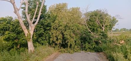 The storm wreaked havoc...one dead, eight injured