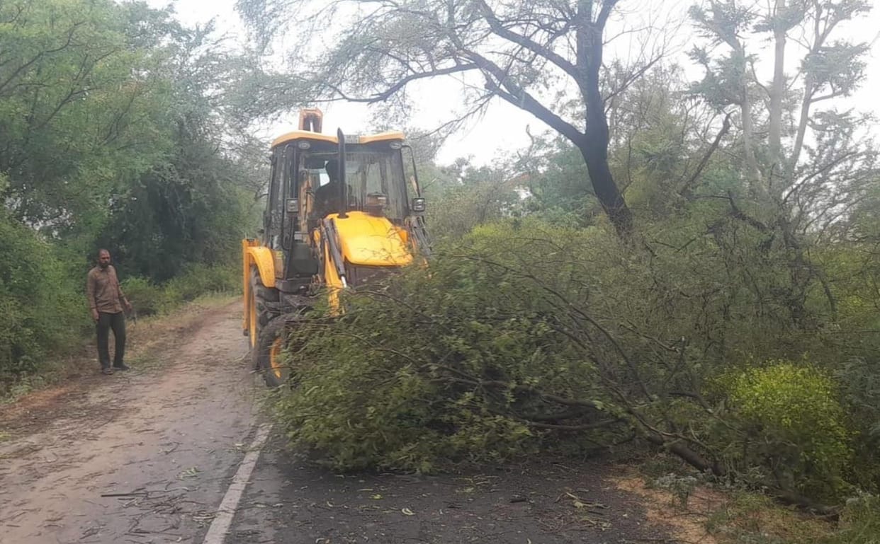 104 trees 124 pole fell down in storm