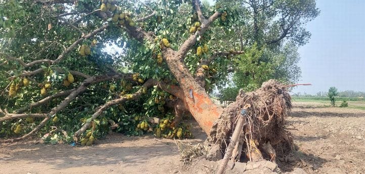 Electricity supply disrupted due to storm and rain, district immersed in darkness