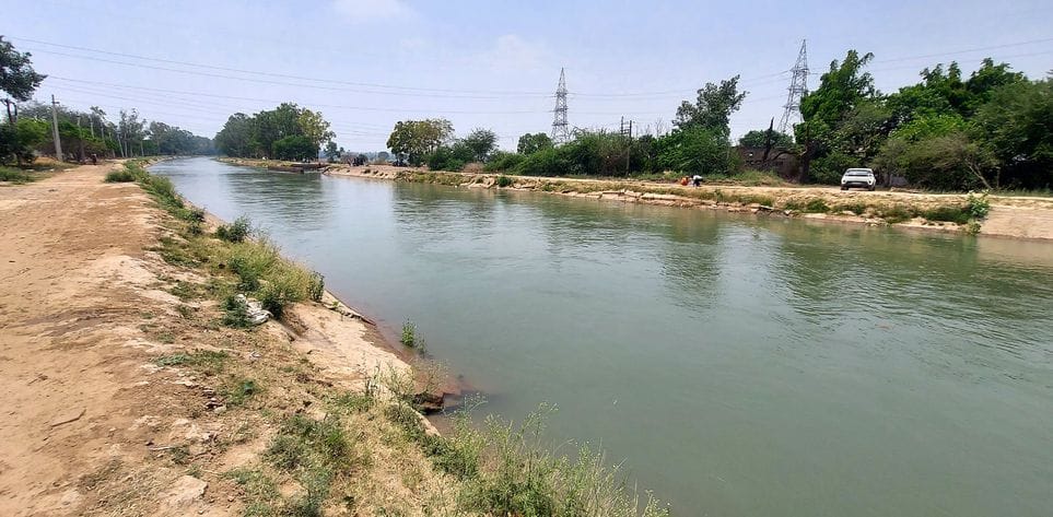 Woman jumps into Bhakra canal in Patiala case filed against eight family members including