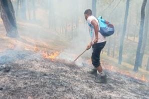 Fire broke out in the forests of Kukudmai and Haldwani Beat