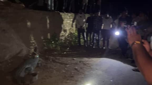 चित्तौड़गढ़ जिले के बेगूं उपखंड क्षेत्र में दिखाई दिया मगरमच्छ।