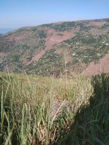Udhampur News: सर्वे का काम पूरा, नॉमन से दुआरी मोड़ा वाया किथर तक सड़क निर्माण जल्द शुरू होगा
