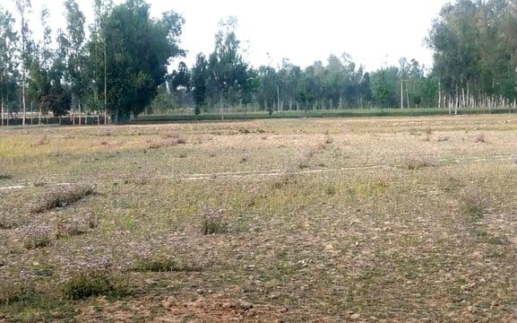 In the first phase, the new township will be developed on 30 hectares and 10 sectors will be built