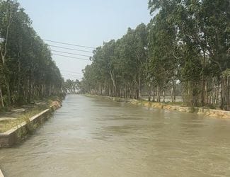 89.47 crores will be spent on Bhiwani Sub Branch Canal
