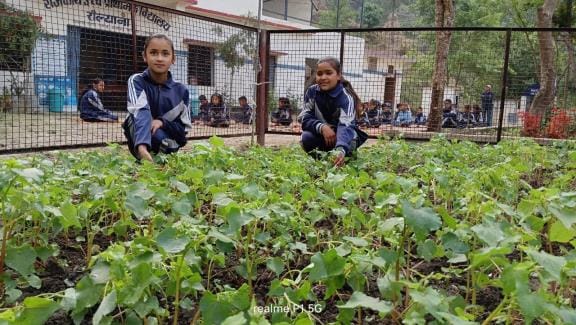 Better use of kitchen garden is being done in Junior High School Raulyana