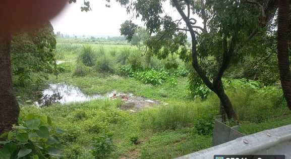 The ancient old Ganga ghat will be built in Hastinapur with a budget of Rs. 2.5 crore