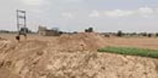 Crops destroyed due to soil being dumped in the fields while removing the bridge, farmers lodged a complaint