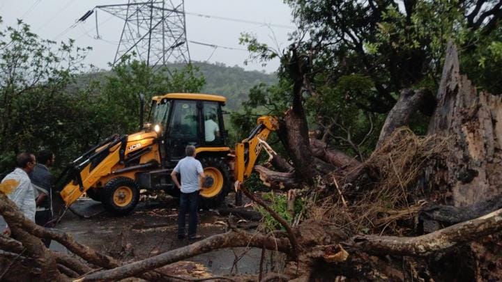Tree Fallen At Road