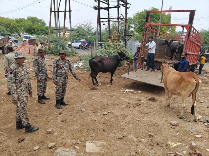 The team removed the encroachment and took away the animals tied on the corporation's land