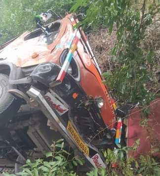 पुलिया पर पलटा गौवंश से भरा ट्रक, 15 मवेशियों की मौत