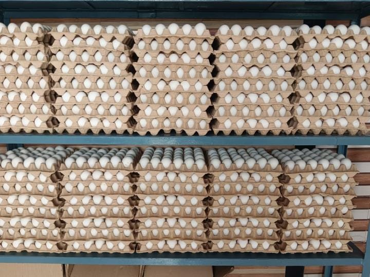 Consumption of eggs halved in summer, prices also fell