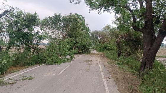 The body of a truck fell on an old man who was sitting to save himself from the storm and rain, he died