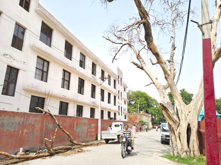 A dilapidated tree near Ramlila ground can become the cause of an accident