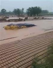 One crore raw bricks spoiled due to rain, preparations to increase the rates