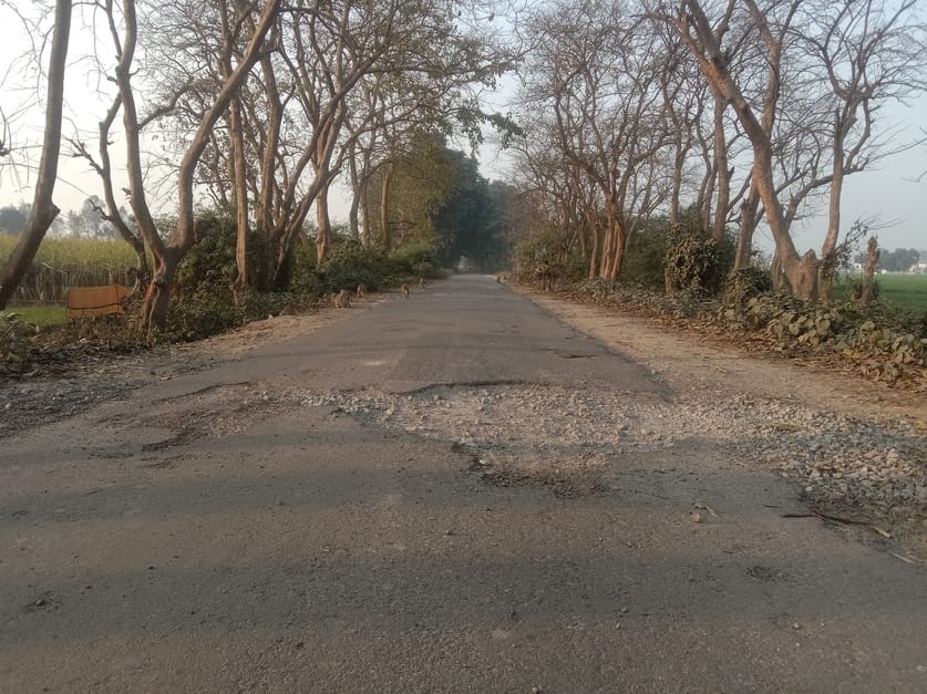The road from Aliganj to Bastoula is in a dilapidated condition