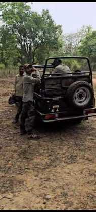 Rules were flouted in Bandhavgarh Tiger Reserve