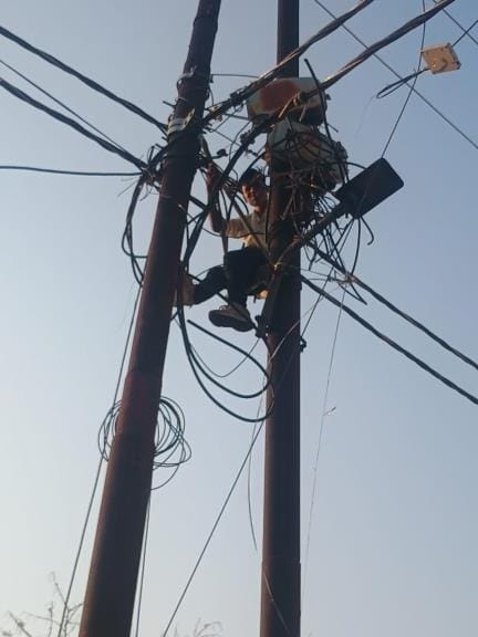 Fault in HT line due to squirrel climbing on it, no electricity for six hours