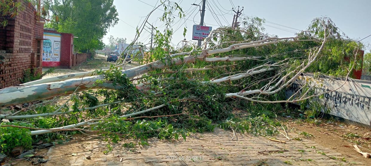 When the power and water supply in Dhanana government school was disrupted due to the storm, the management committee decided not to send children to school for two days